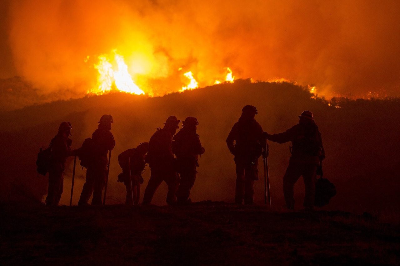 Se prevén incendios forestales cada vez más cruentos